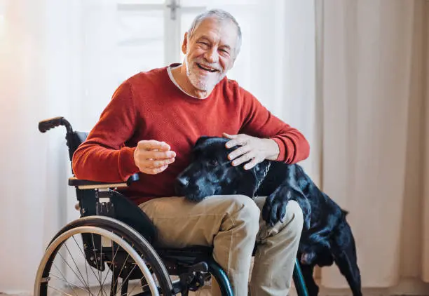 Person planning secure future with personalized insurance in Reisterstown